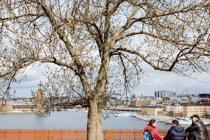 Stockholm Hidden Gem Tours by Locals: 100% Personalized & Private - Price and what you really get for $87.76