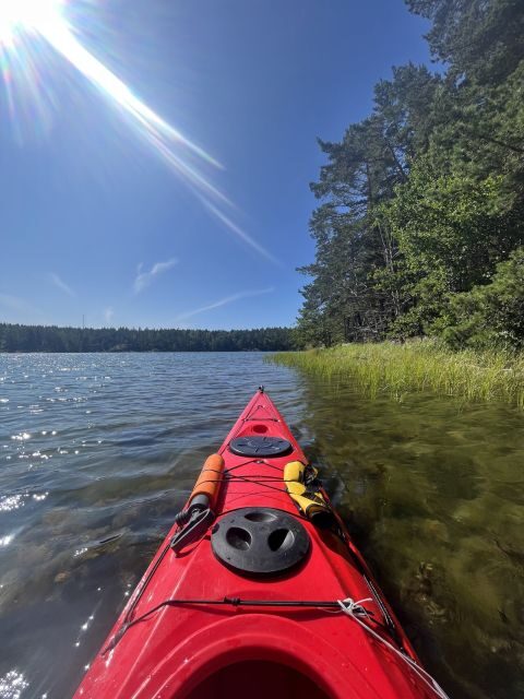 Stockholm: Morning Kayak Tour in the Archipelago with Lunch - Swedish fika on the way back for a sweet reset
