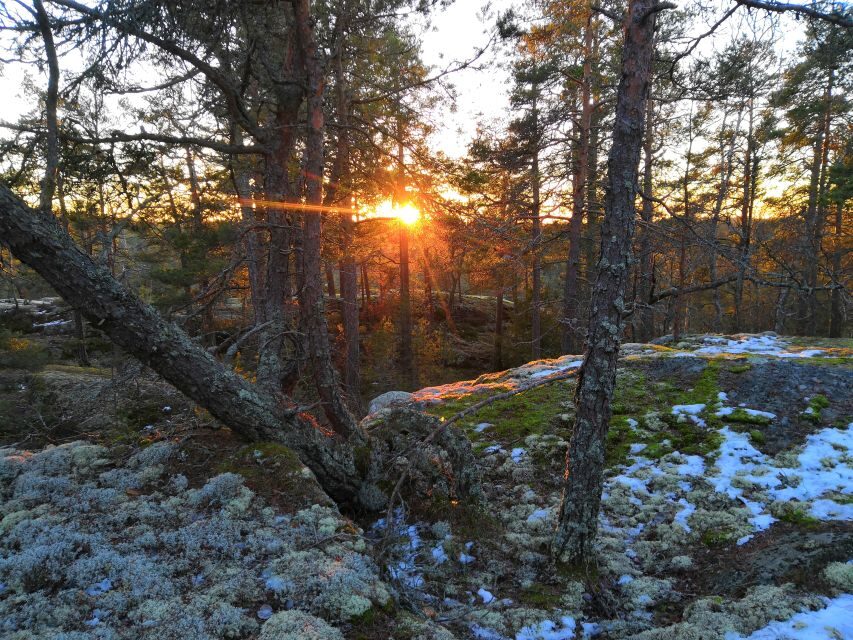 Stockholm: Nature Hike with Campfire Lunch - Optional frozen lake walking: stunning if conditions allow