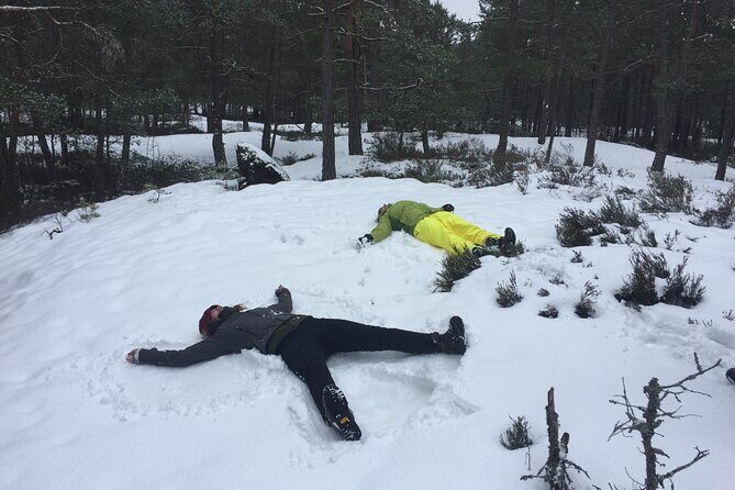 Stockholm: Nature Reserve Hiking Tour with Campfire Lunch - Key things to know before you go