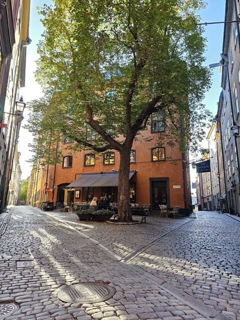 Stockholm: Old Town Walking Tour, stories and secrets - From the Runestone to Stortorget: Getting the Old Town’s rhythm