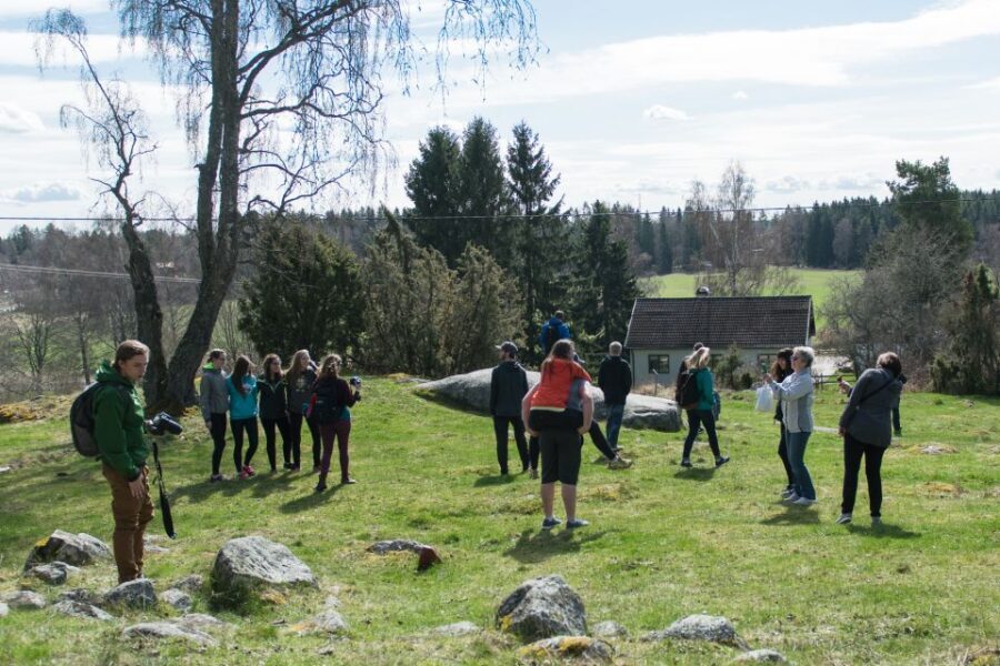 Stockholm: Sigtuna and Uppsala Viking History Day Tour - Viking Power Stones, Swedish Towns, and Why This Mix Works
