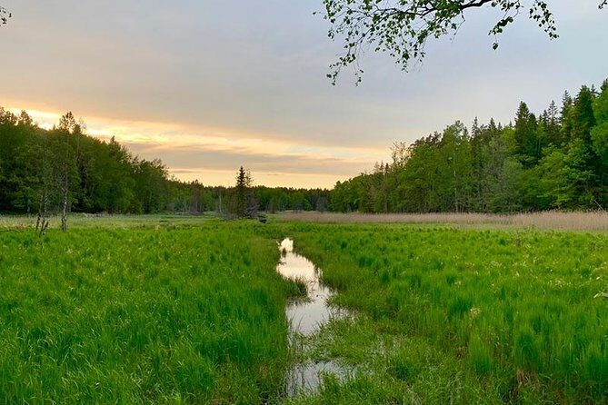 Stockholm: Sunset Hike in Tyresta National Park with Meal - Key Things to Know Before You Go