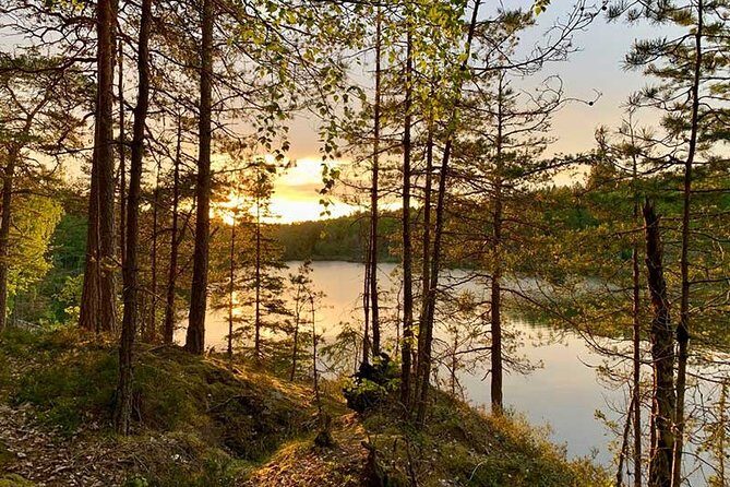 Stockholm: Sunset Hike in Tyresta National Park with Meal - Tyresta Sunset Hike: Why This Forest Timing Works So Well