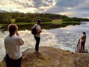 Stockholm: Sunset Hike in Tyresta National Park with Meal - Getting There from Gullmarsplan: The Simple Plan Behind a Wild Evening