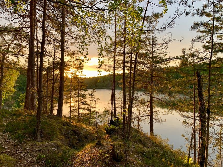 Stockholm: Sunset Hike in Tyresta National Park with Meal - What to Pack for Tyresta: The Details That Actually Matter