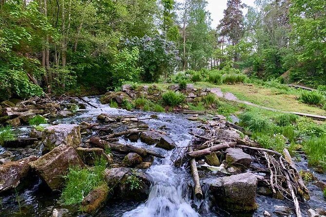 Stockholm: Sunset Hike in Tyresta National Park with Meal - Getting There from Gullmarsplan: The Simple Plan Behind a Wild Evening