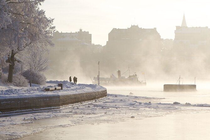 Stockholm Winter Boat Tour with Guide - Key things to know before you go