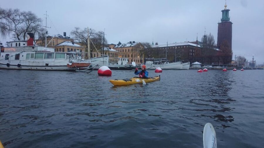 Stockholm: Winter City Kayaking Tour - What $171 buys you (and where the value actually comes from)