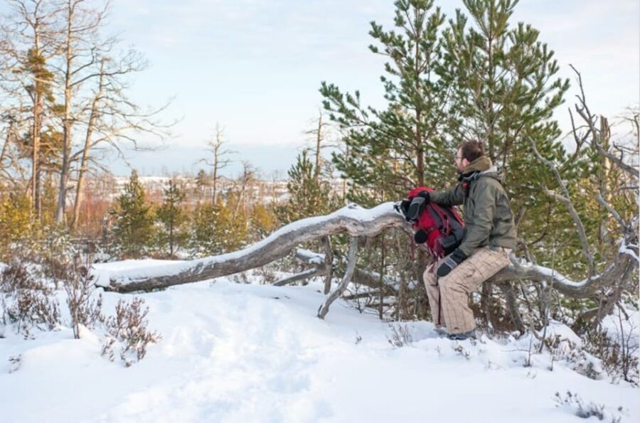 Stockholm: Winter Snowshoe Full-Day Hike - Gear and conditions: snowshoes, ice grips, and staying ready