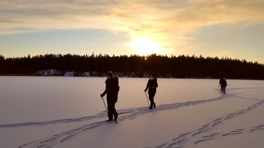 Stockholm: Winter Snowshoe Full-Day Hike - Stockholm winter snowshoe hiking: what this full-day outing really is