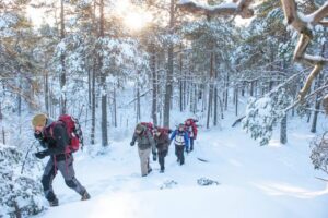 Stockholm: Winter Snowshoe Full-Day Hike - Getting there: pickup, meeting points, and the short trip into winter country