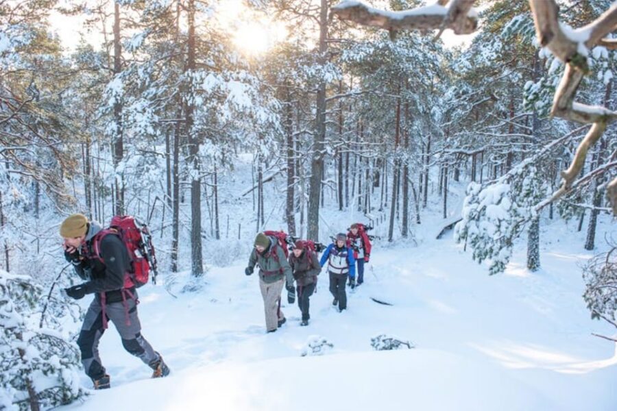 Stockholm: Winter Snowshoe Full-Day Hike - Getting there: pickup, meeting points, and the short trip into winter country