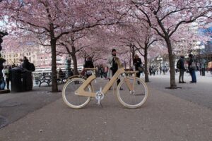 The Wooden Bicycle Tour in Stockholm - Group size and the “how it goes” factor
