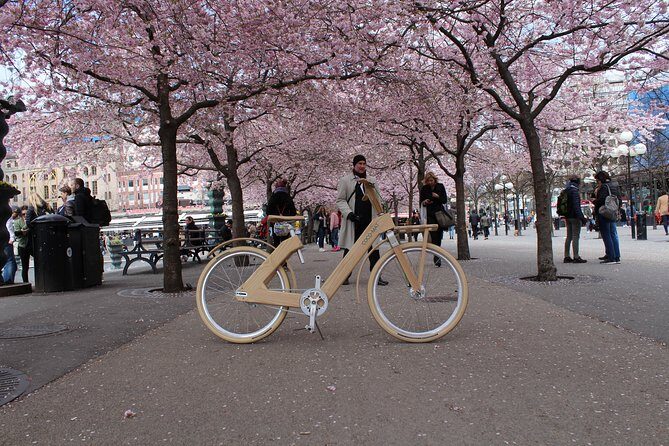 The Wooden Bicycle Tour in Stockholm - Group size and the “how it goes” factor