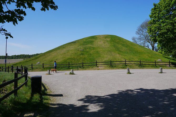 Viking History, Runes & Countryside 9h Tour to Sigtuna & Uppsala - Pacing, walking, and comfort for a 9-hour day