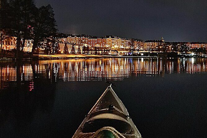 Winter Kayak Tour in Stockholm City (Dry Suit Kayaking) - Warmth, gear, and what you must bring (and what’s not included)